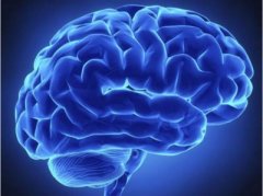 儿童智力测试仪研究癫痫为什么会影响智力