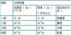 儿童智力测试仪厂家了解儿童智障可分为4个等级