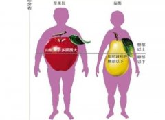 超声波身高体重测量仪-你的内脏脂肪是否超标
