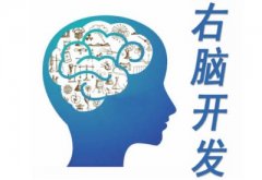 儿童智商测试仪抓住6岁之前开发右脑黄金阶段