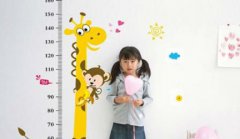 儿童身高体重测量仪分享孩子长高的黄金时期