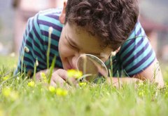 儿童综合素质测试仪孩子创造力的影响