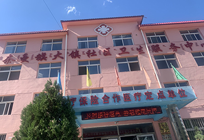 内蒙古通辽市奈曼旗大镇社区卫生服务中心采购儿童综合素质测试仪