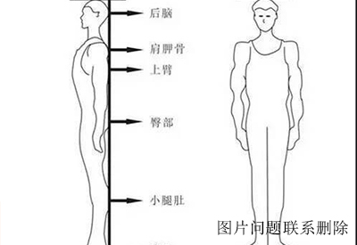 自动身高体重测量仪生产厂家介绍为什么我们在体检的时候身高要比自己实际身高低？