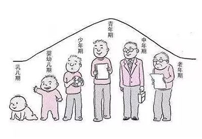 哪种身高体重秤比较准检测医生告诉你一个事实人的年龄越大身高越矮